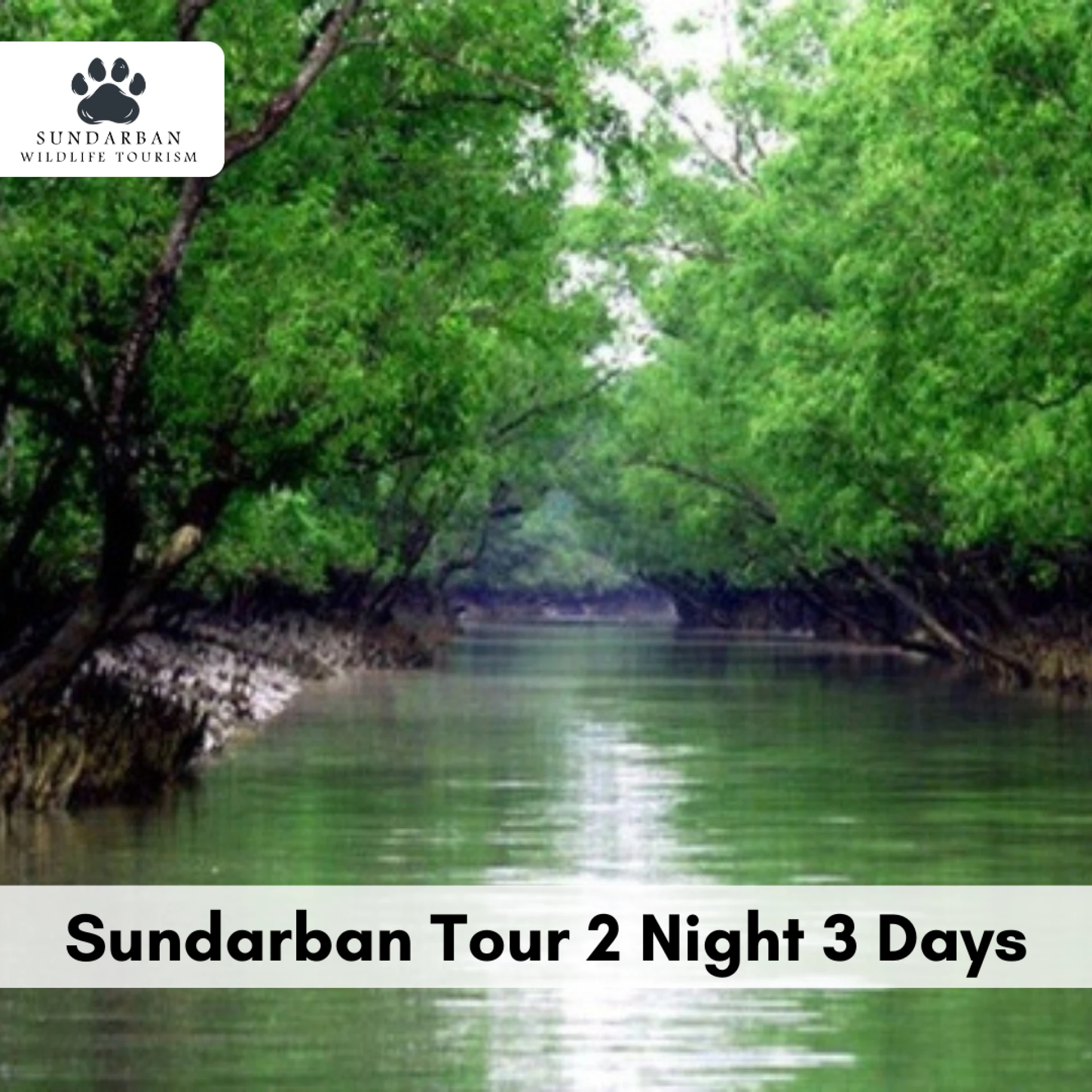 Experience the Best of Nature with Sundarban Tour 2 Night 3 Days