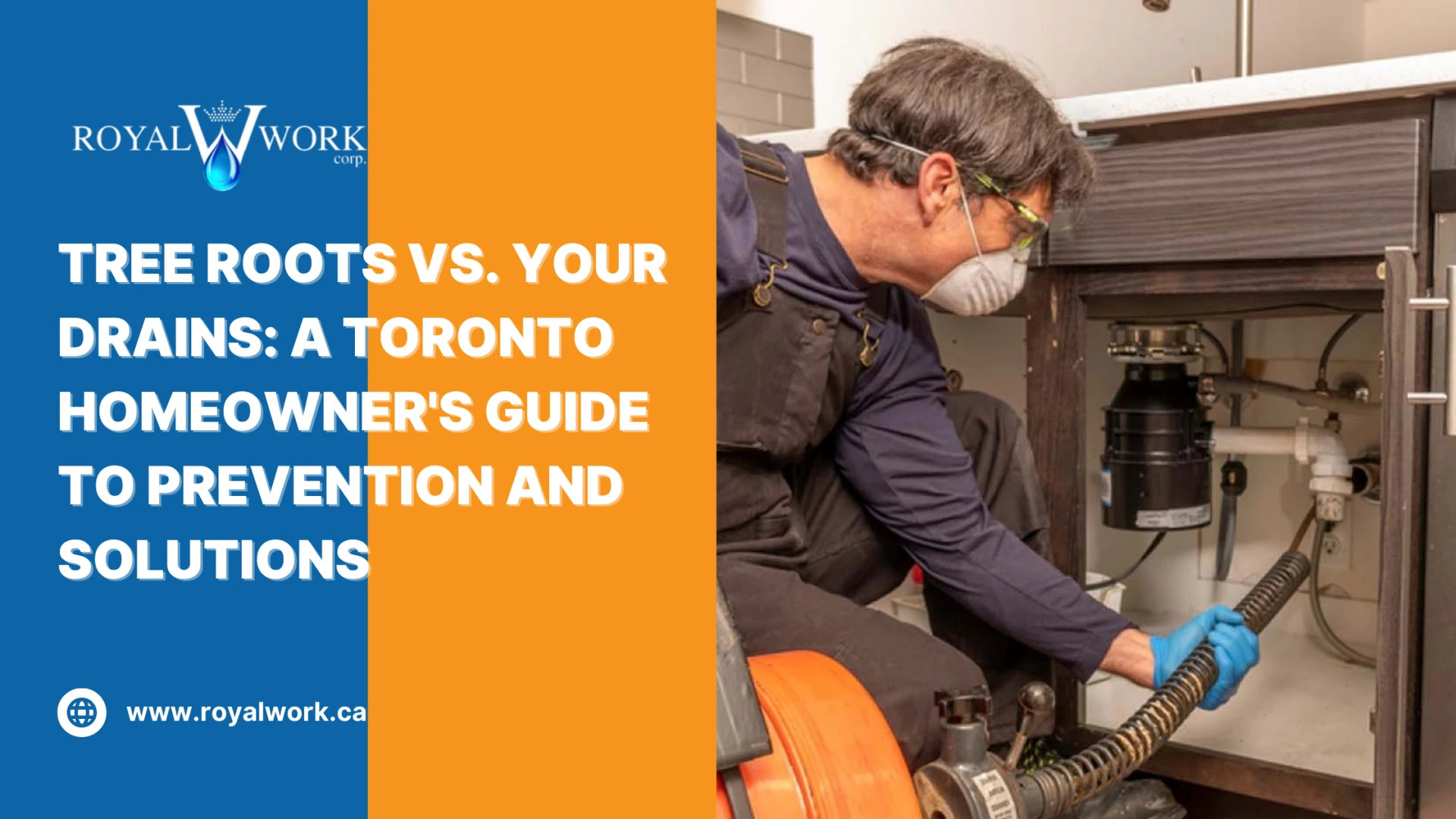 Tree Roots vs. Your Drains: A Toronto Homeowner's Guide to Prevention and Solutions