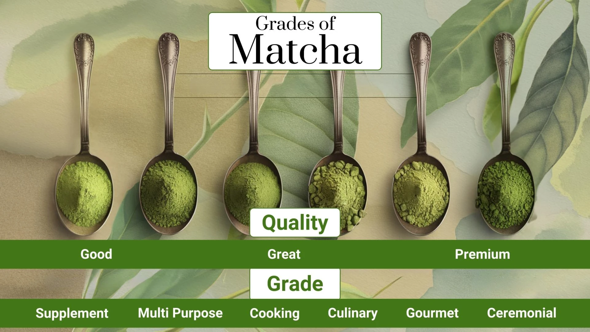 Organic Matcha Tea Powder: Innovative Product Applications for Food Manufacturers 