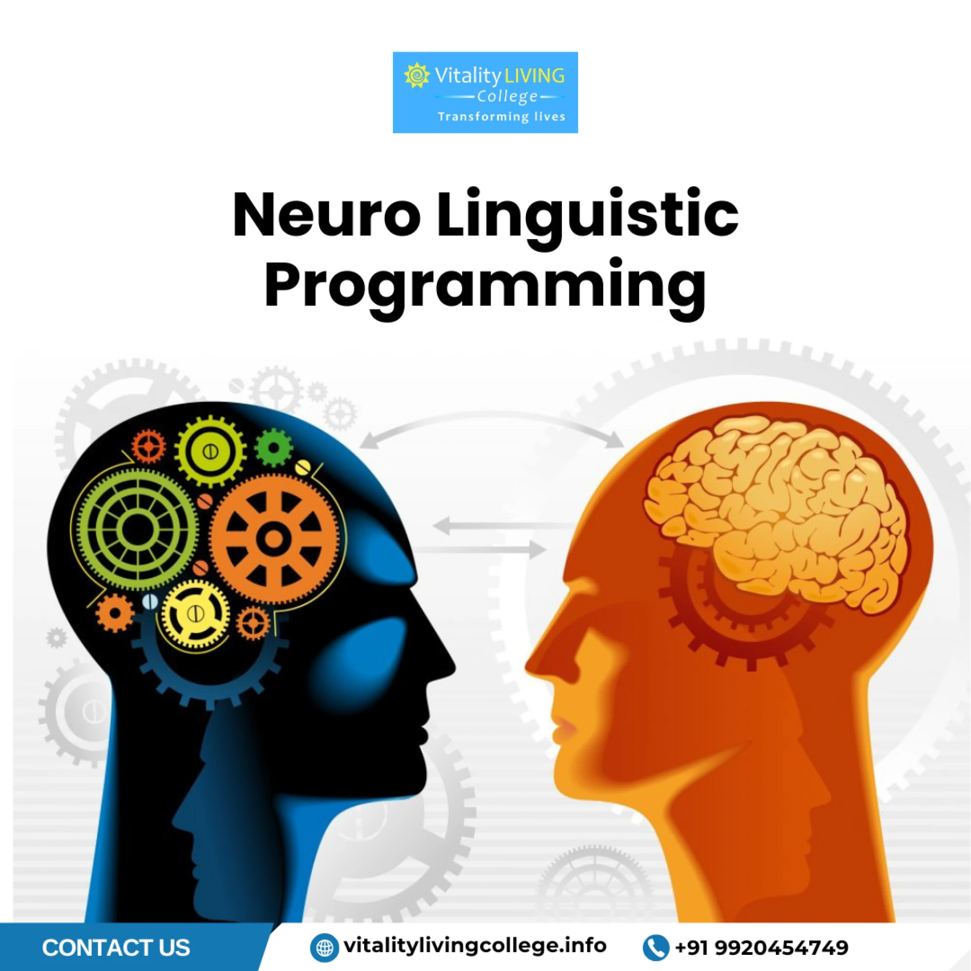 Discover What Neuro Linguistic Programming Is at Vitality Living College