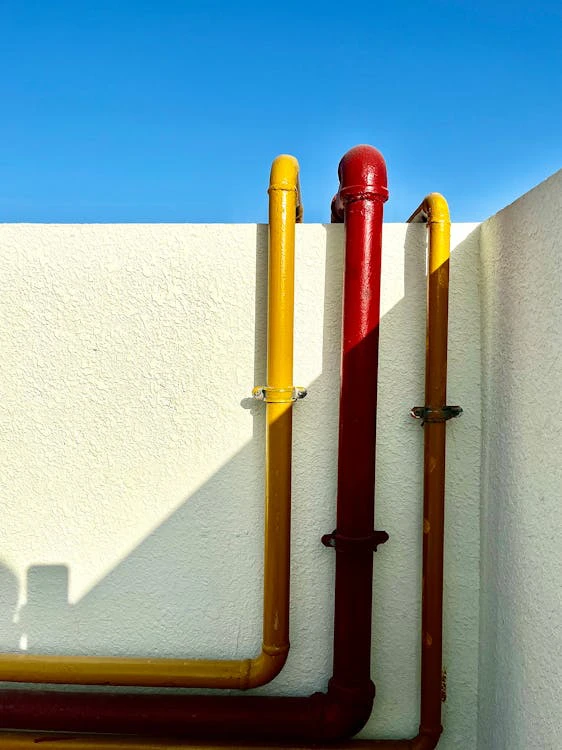 How to Safeguard Your Plumbing System from Tree Roots in Burnsville