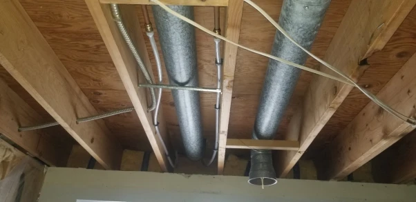 How to Safeguard Your Plumbing System from Tree Roots in Burnsville