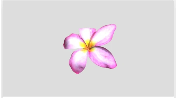 Build Your Digital Collection with 3D Scanning