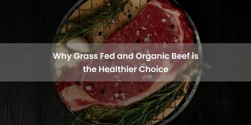 Why Grass Fed and Organic Beef is the Healthier Choice