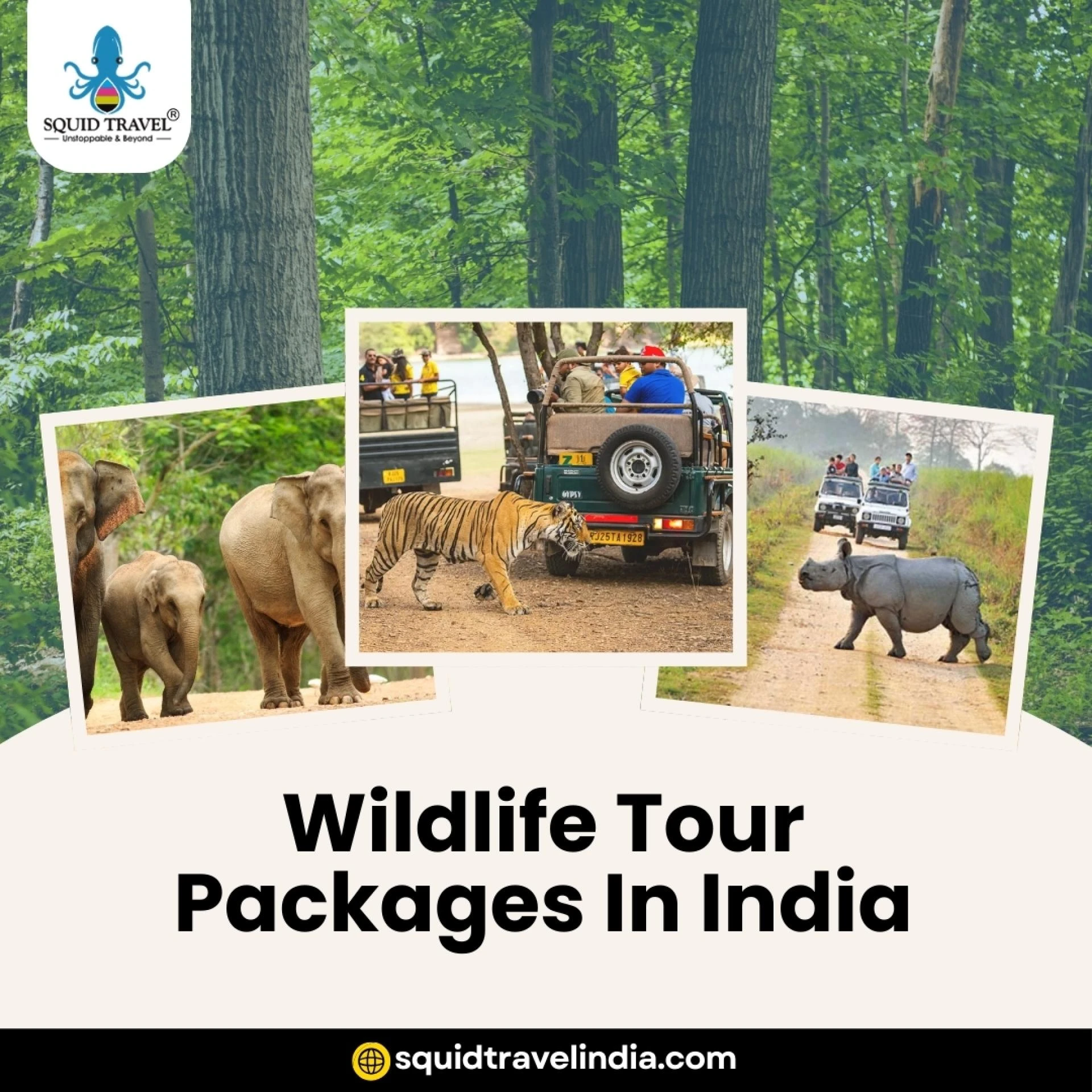 Why Choose Squid Travel India for Your Wildlife Tour Packages In India?
