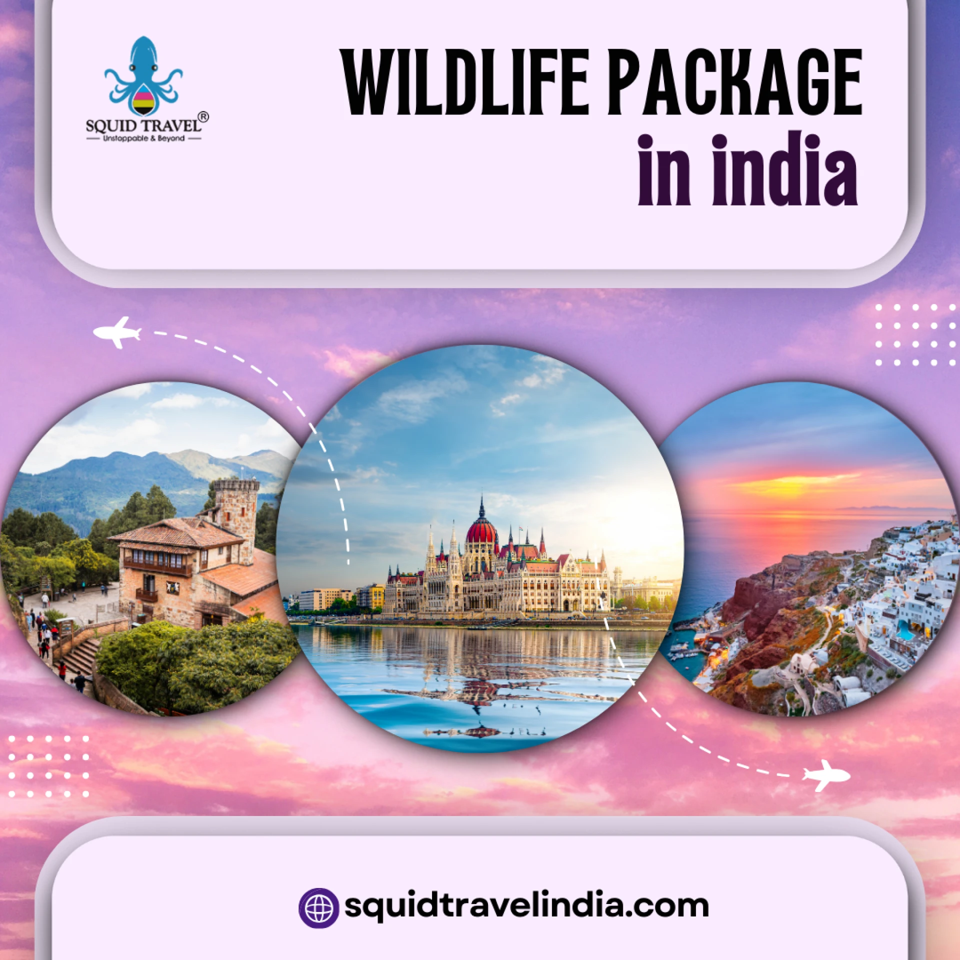 Why Choose Squid Travel India for Your Wildlife Tour Packages In India?