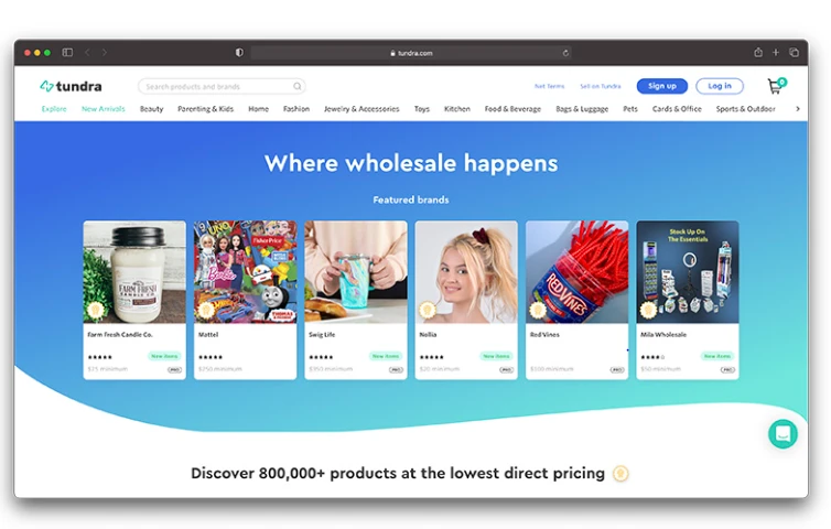 Top 10 Wholesale eCommerce Platforms for Your Business in 2025 