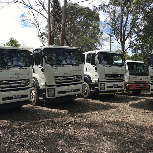 Top Reasons to Consider Skip Bins for Hire for Your Next Cleanup