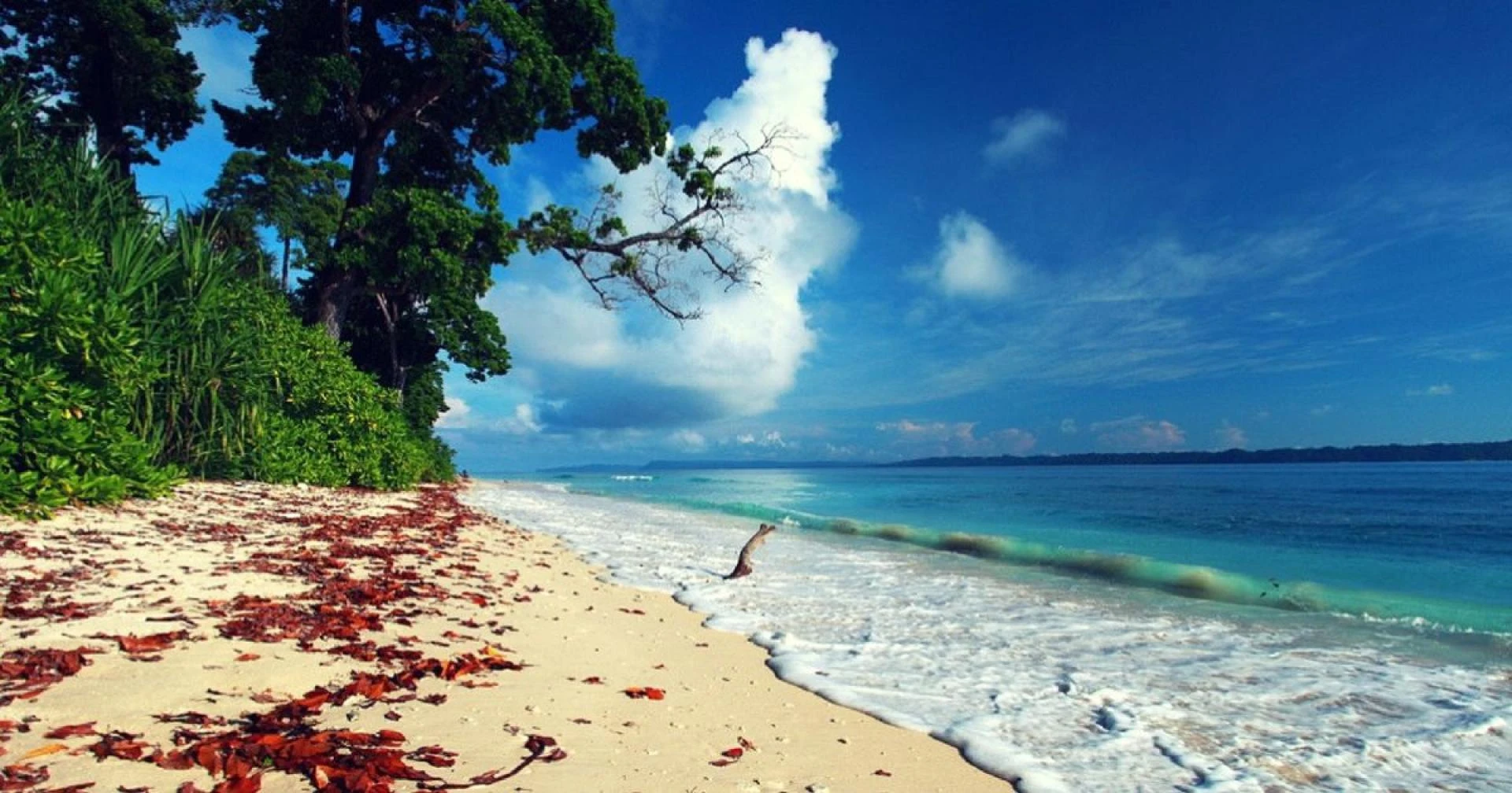Andaman and Nicobar Islands: Kid-Friendly Tour Packages and Travel Planner