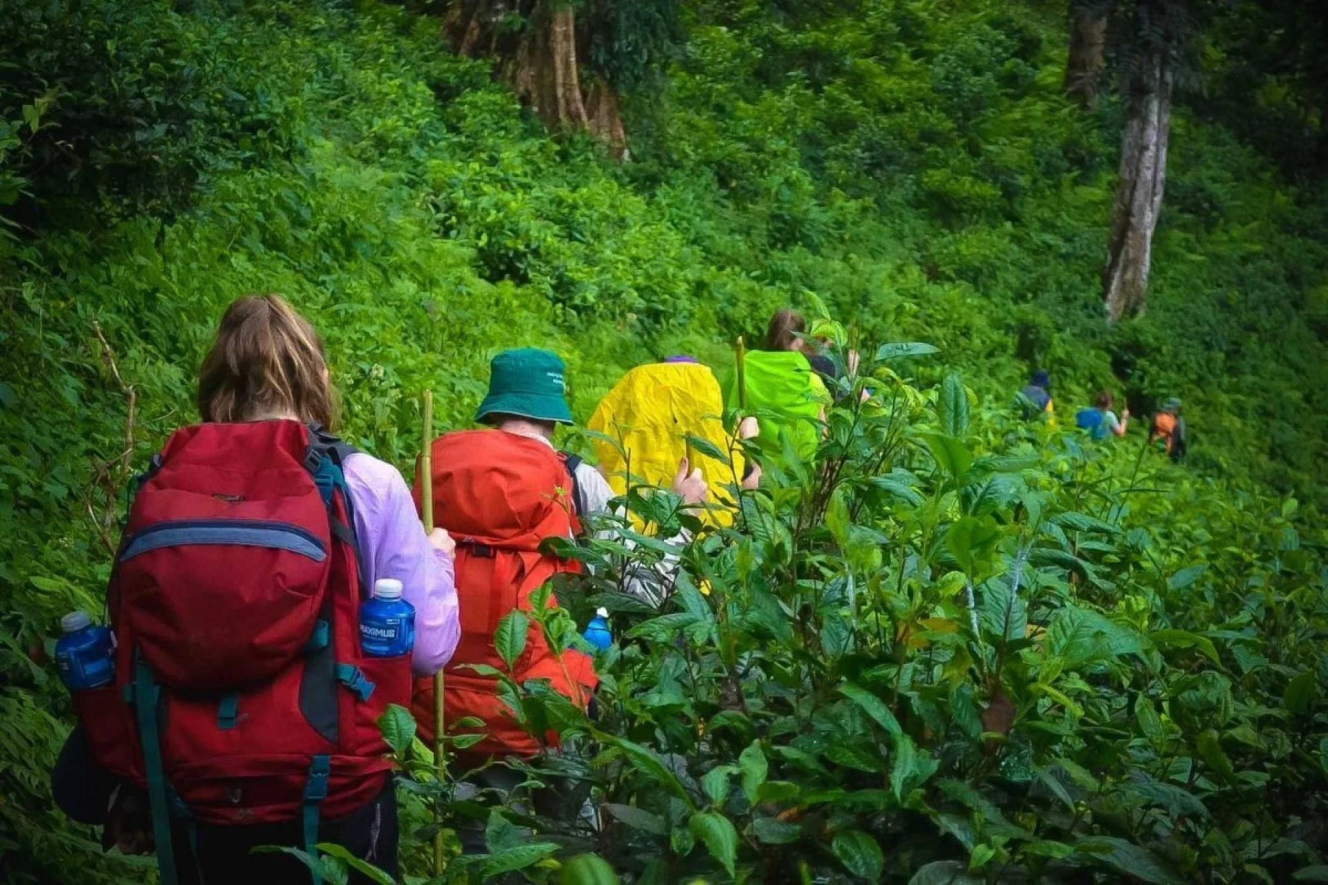 Andaman and Nicobar Islands: Kid-Friendly Tour Packages and Travel Planner