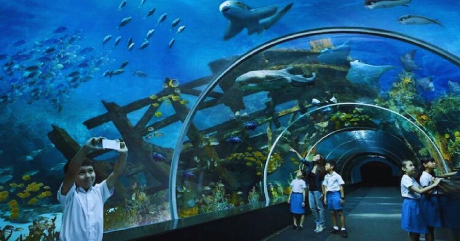 Andaman and Nicobar Islands: Kid-Friendly Tour Packages and Travel Planner