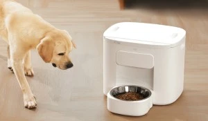 A Guide to Feeding Your Dog: Healthy Habits & Smart Feeding Solutions