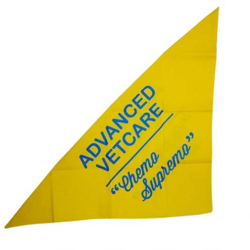 The Ultimate Guide to Bandanas: A Timeless Fashion and Functional Essential