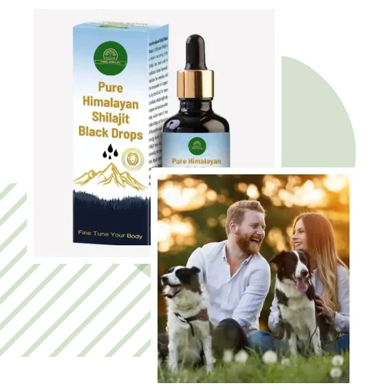 The Best Shilajit Brand in USA: Unlocking the Power of Pure Shilajit