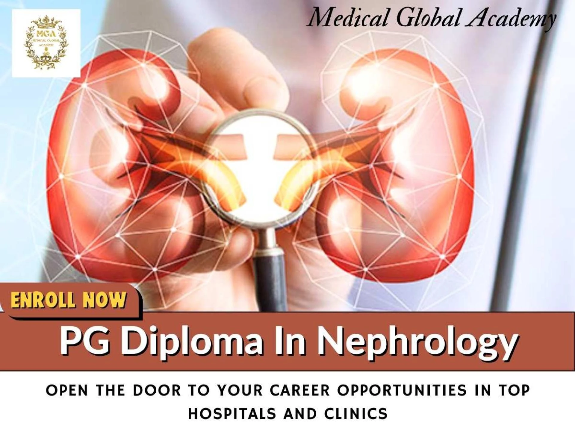 Best Colleges for PG Diploma in Nephrology