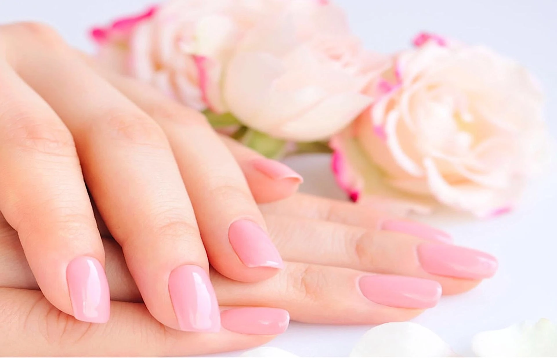 Elevate Your Beauty Routine With Comprehensive Beauty Salon Services at Fairfax