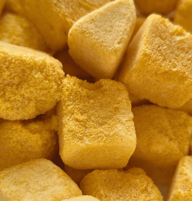 Delicious and Nutritious: Exploring the World of Freeze-Dried Fruits