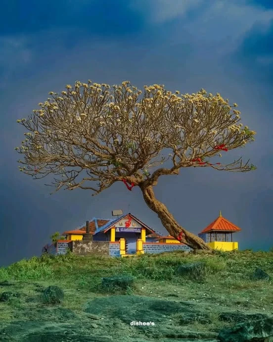 Vamala Sri Murugan Temple - Palakkad