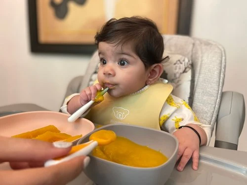 A Full Guide to a 6-Month Weaning Plan and Baby-Led Weaning Meal Plan