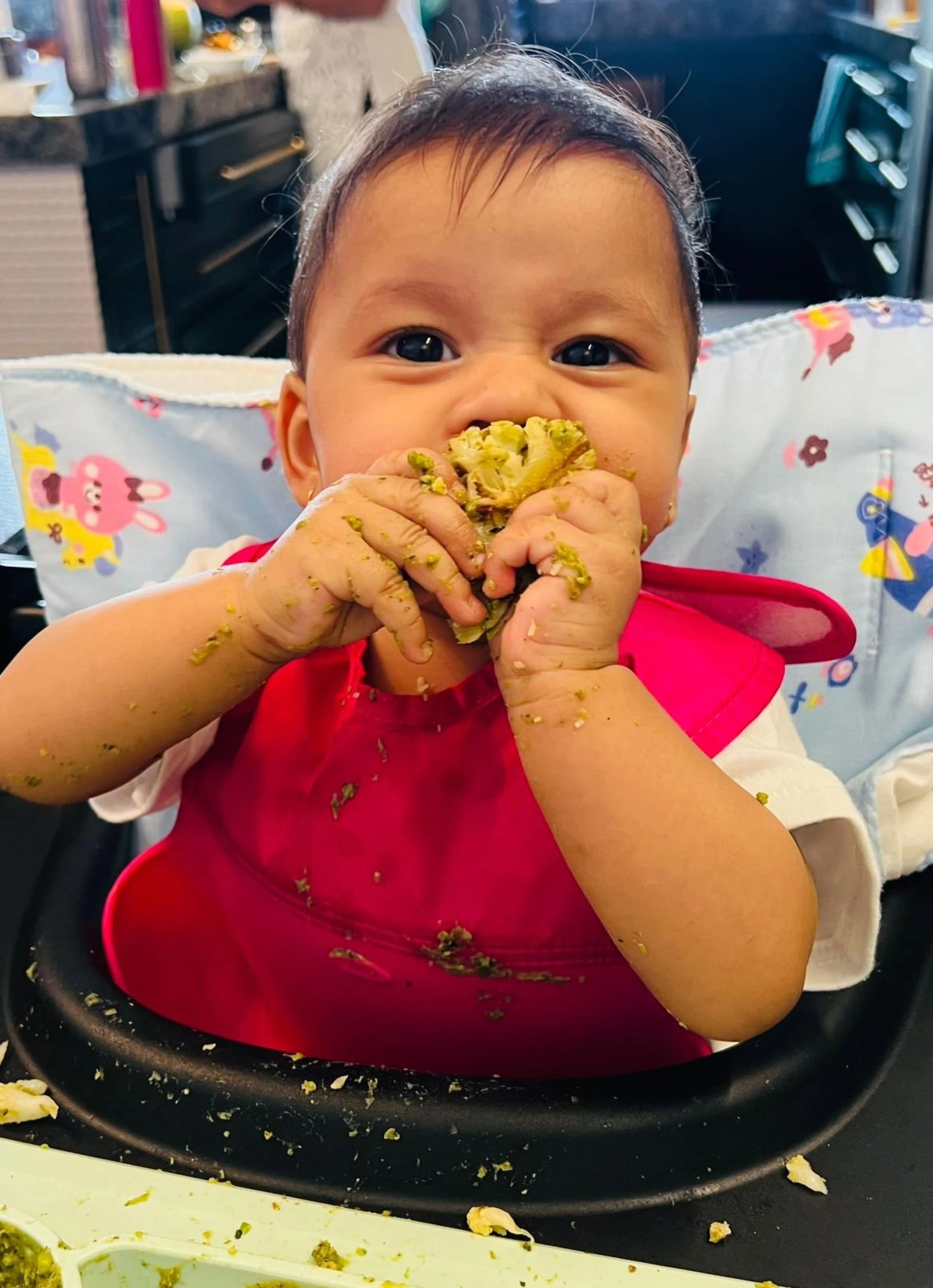 A Full Guide to a 6-Month Weaning Plan and Baby-Led Weaning Meal Plan