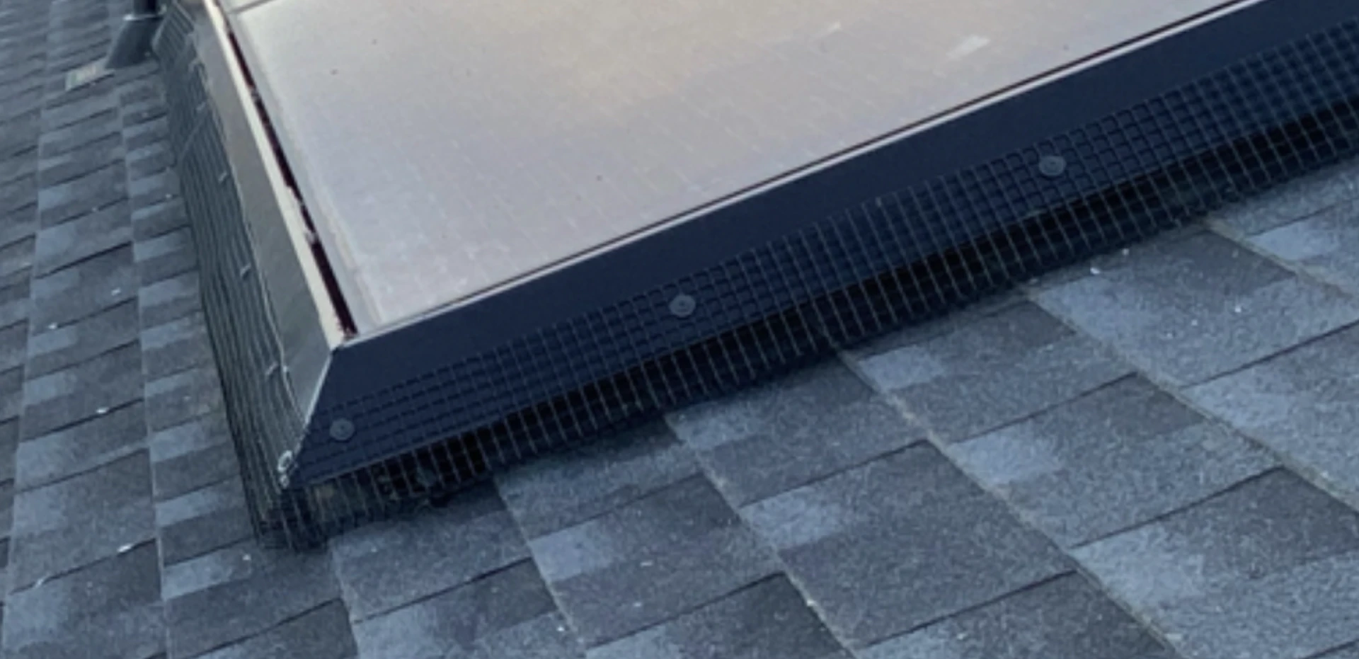 How Pigeon Exclusion Helps with Regular Solar Panel Maintenance
