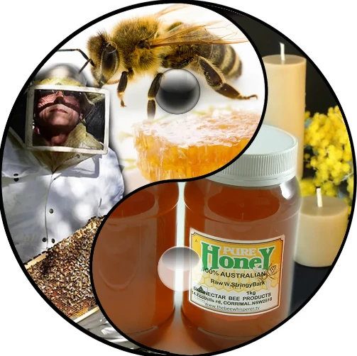 Raw Seasonal Honey Must be a part of Your Daily Life: Know Why
