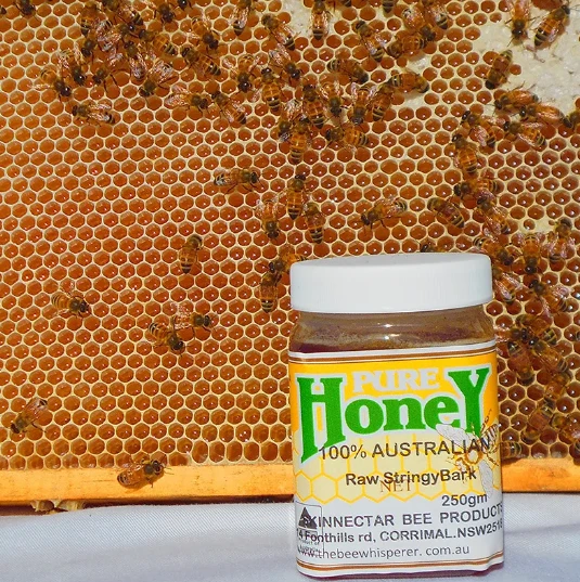 Raw Seasonal Honey Must be a part of Your Daily Life: Know Why