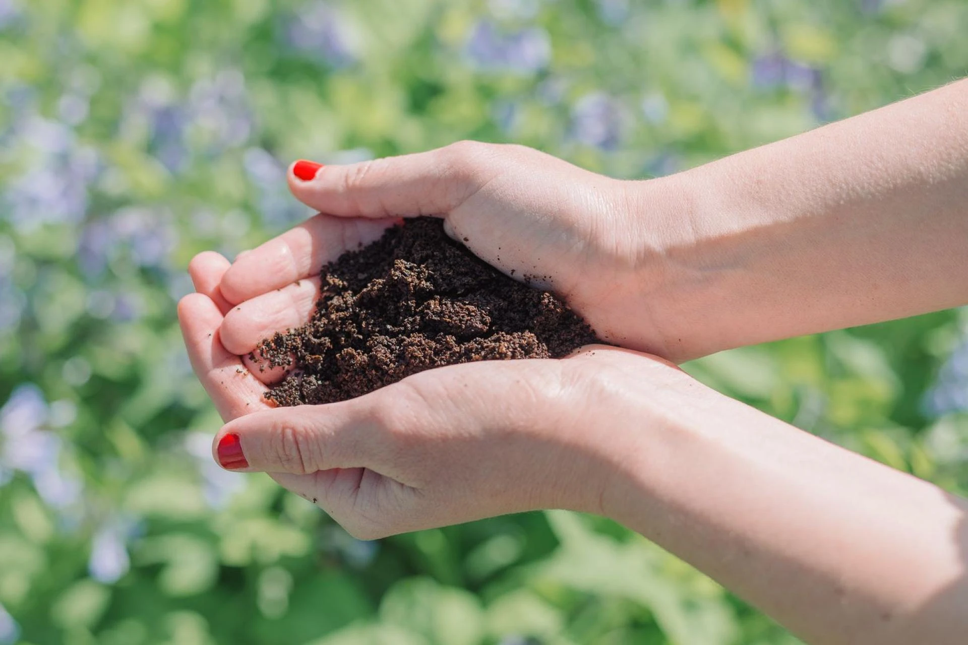 Coffee Grounds in Your Garden: Reground's Innovative Waste Management