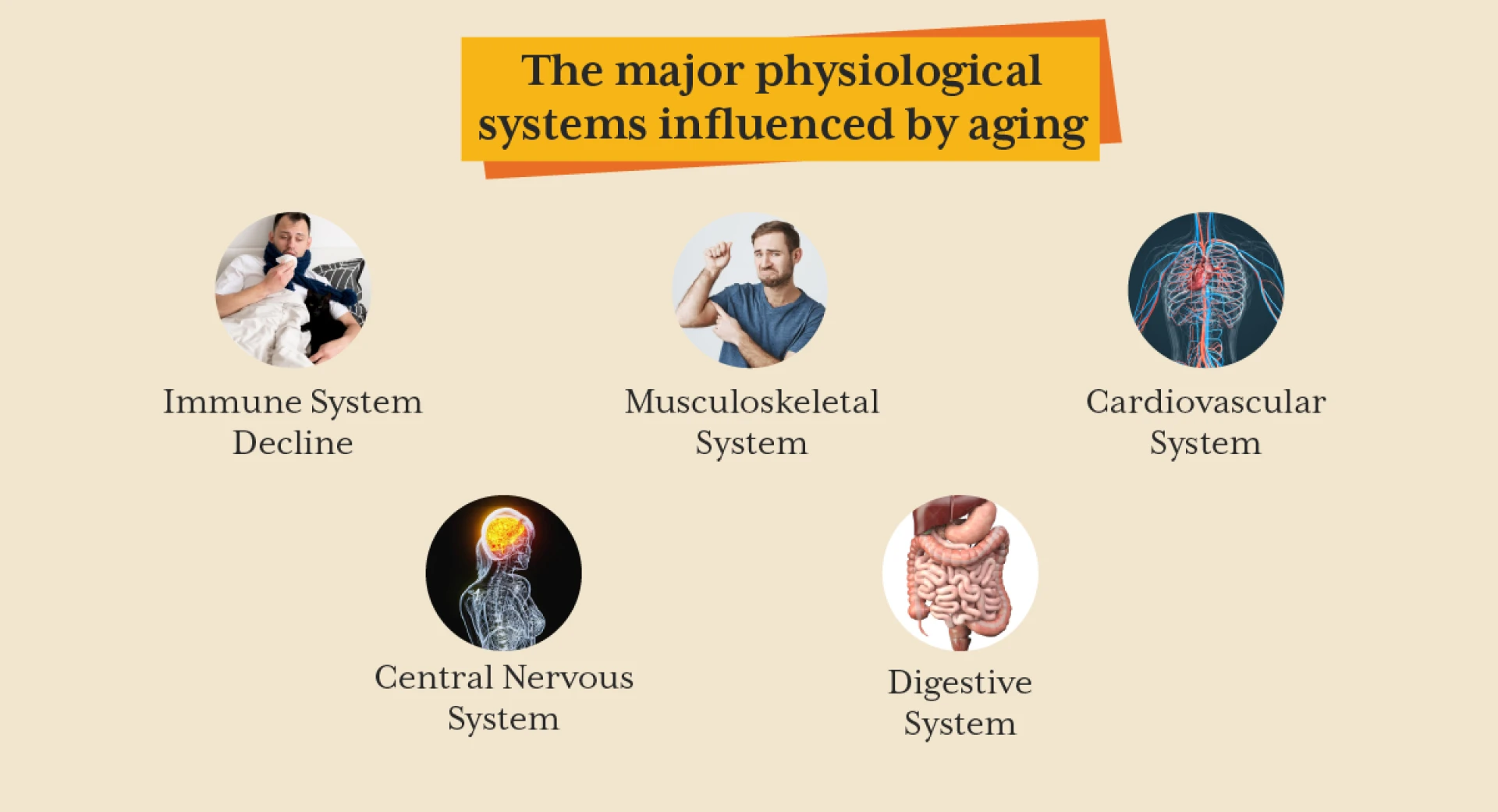 Aging & Nutrition: How to Support Your Body’s Changing Needs | iThrive