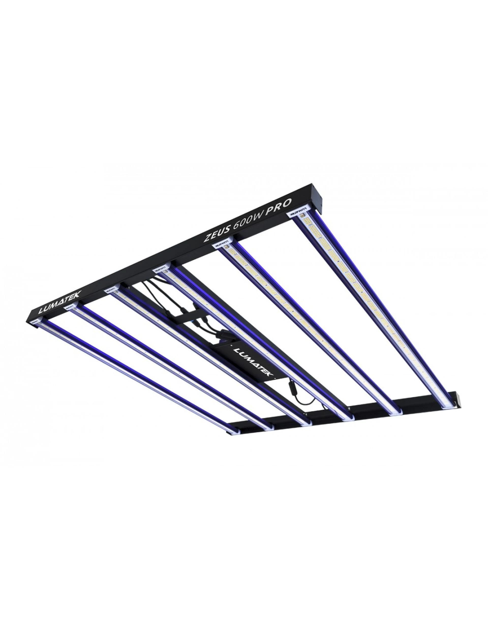 Reliable Denture Options and Support You Can Trust