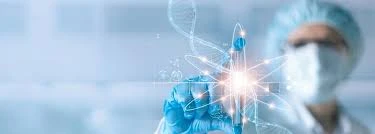 "What’s Next After BSc? Explore Your Career and Study Options"