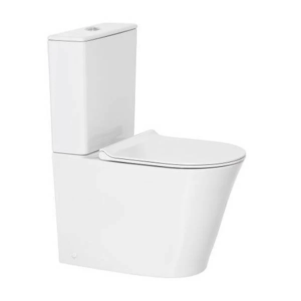 American Toilets: A Deep Dive into a Global Sanitation Staple