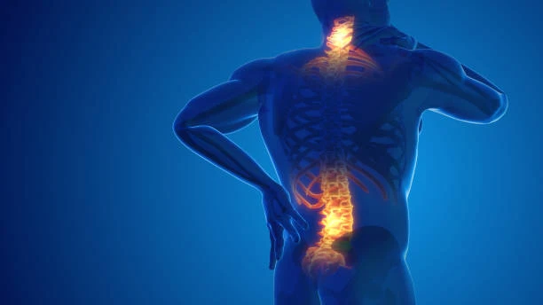 Back Pain Management Guide: Best Morning Routine for a Strong Back