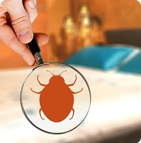 Say Goodbye to Pests: Expert Pest Control Services in Chandigarh