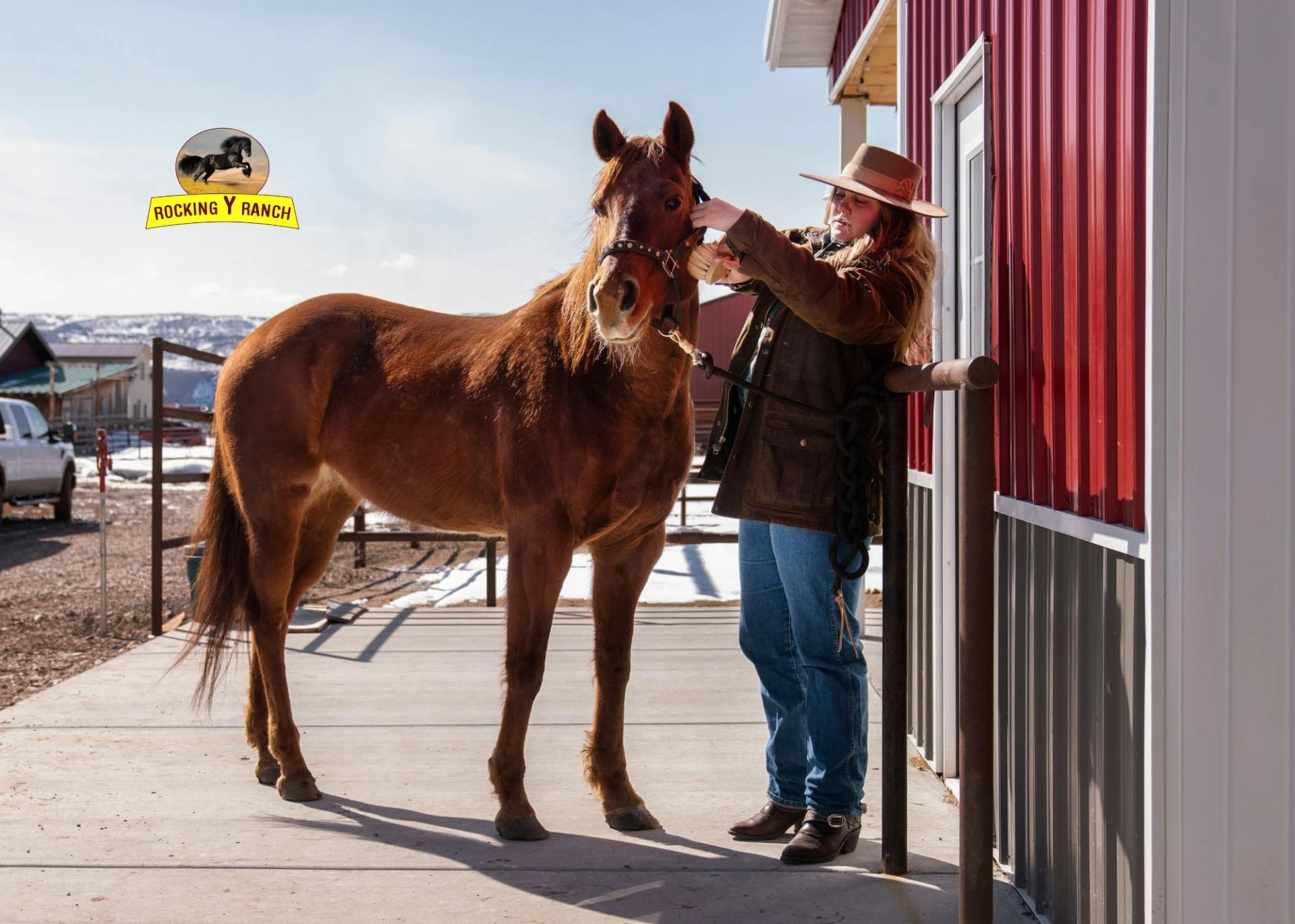 Safe and Reliable Horse Transportation in California