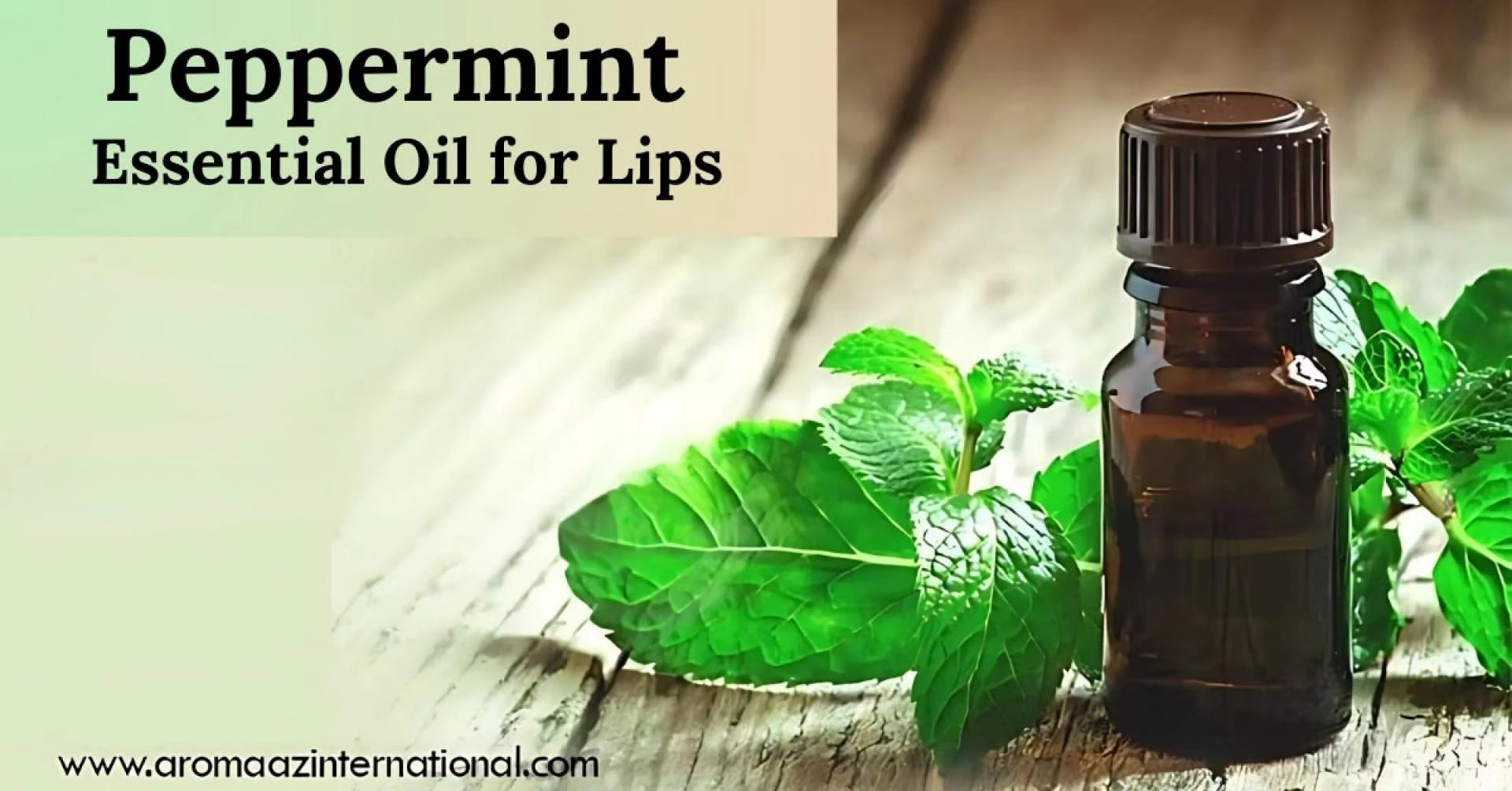 Peppermint Oil for Lips: Benefits, Uses & Top Supplier | Aromaaz
