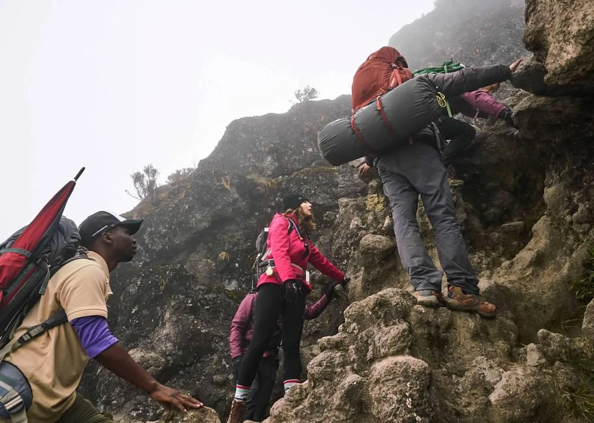Discover Best Kilimanjaro Climbing Packages - Trek to Africa's Highest Peak with our Guides