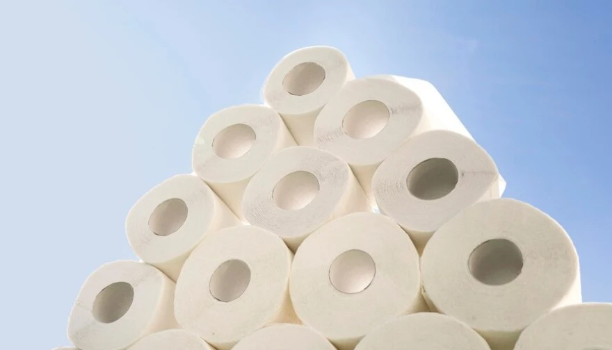 Paper Hand Towels for Effortless Hygiene