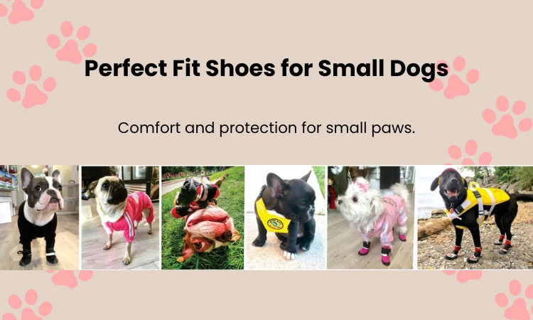 Shoes for Small Breed Dogs in North America: Comfort, Protection, and Style