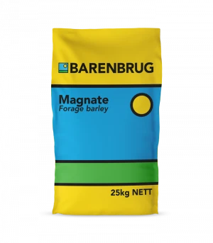 Forage Barley: A Resilient Solution for Livestock Nutrition and Soil Health