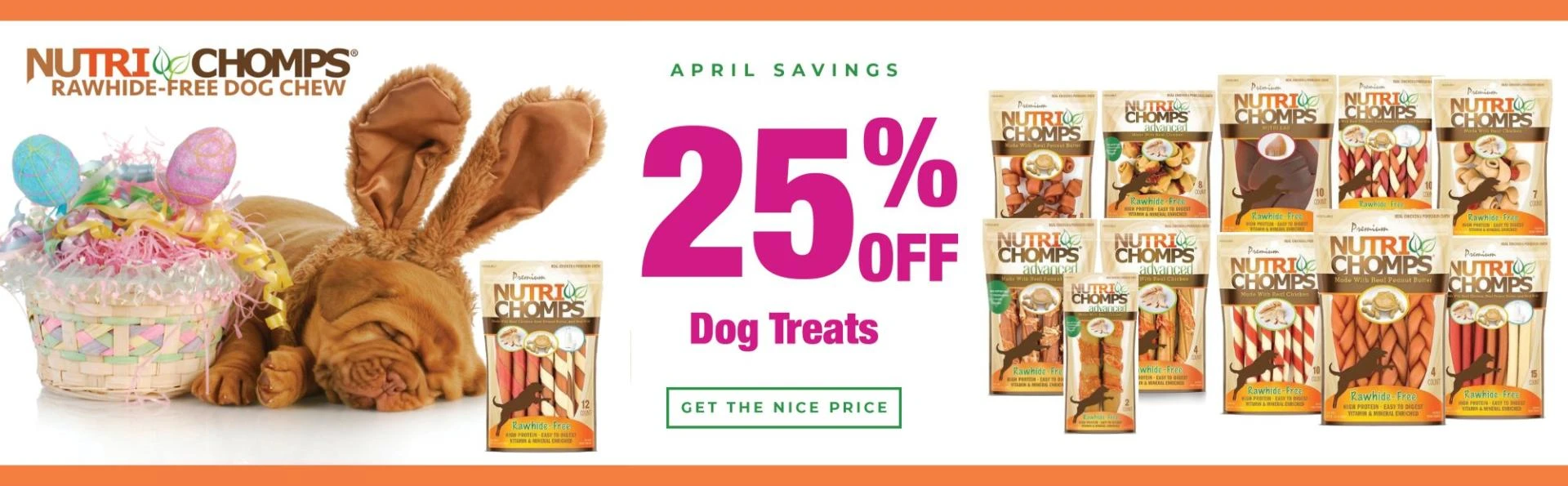 Get the grooming tools all pet owners must have every types