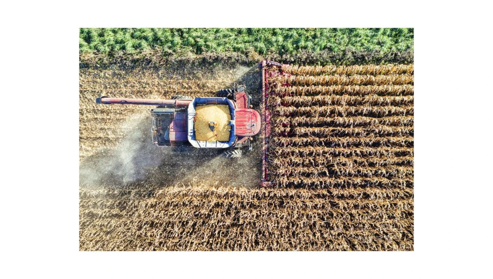 Why Saskatchewan Is a Great Place to Buy Farmland