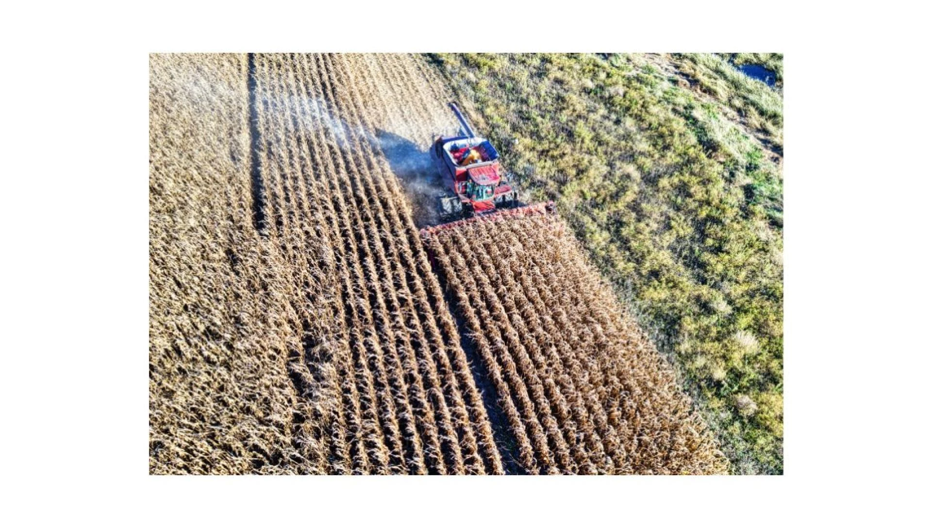 Why Saskatchewan Is a Great Place to Buy Farmland