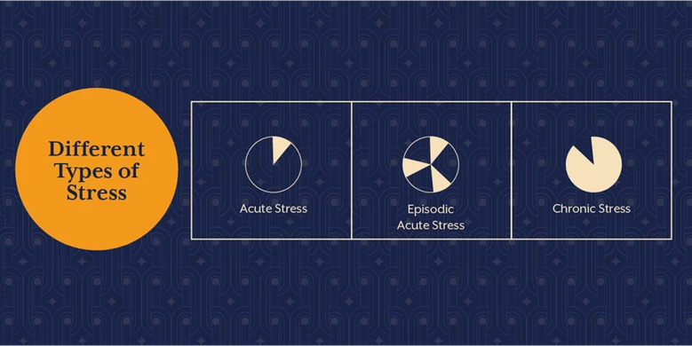 How Stress Affects Longevity: The Hidden Link to a Shorter Life