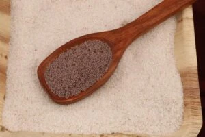 Gayatri Psyllium Industries – Leading Organic Psyllium Husk Powder Manufacturers & Exporters in India