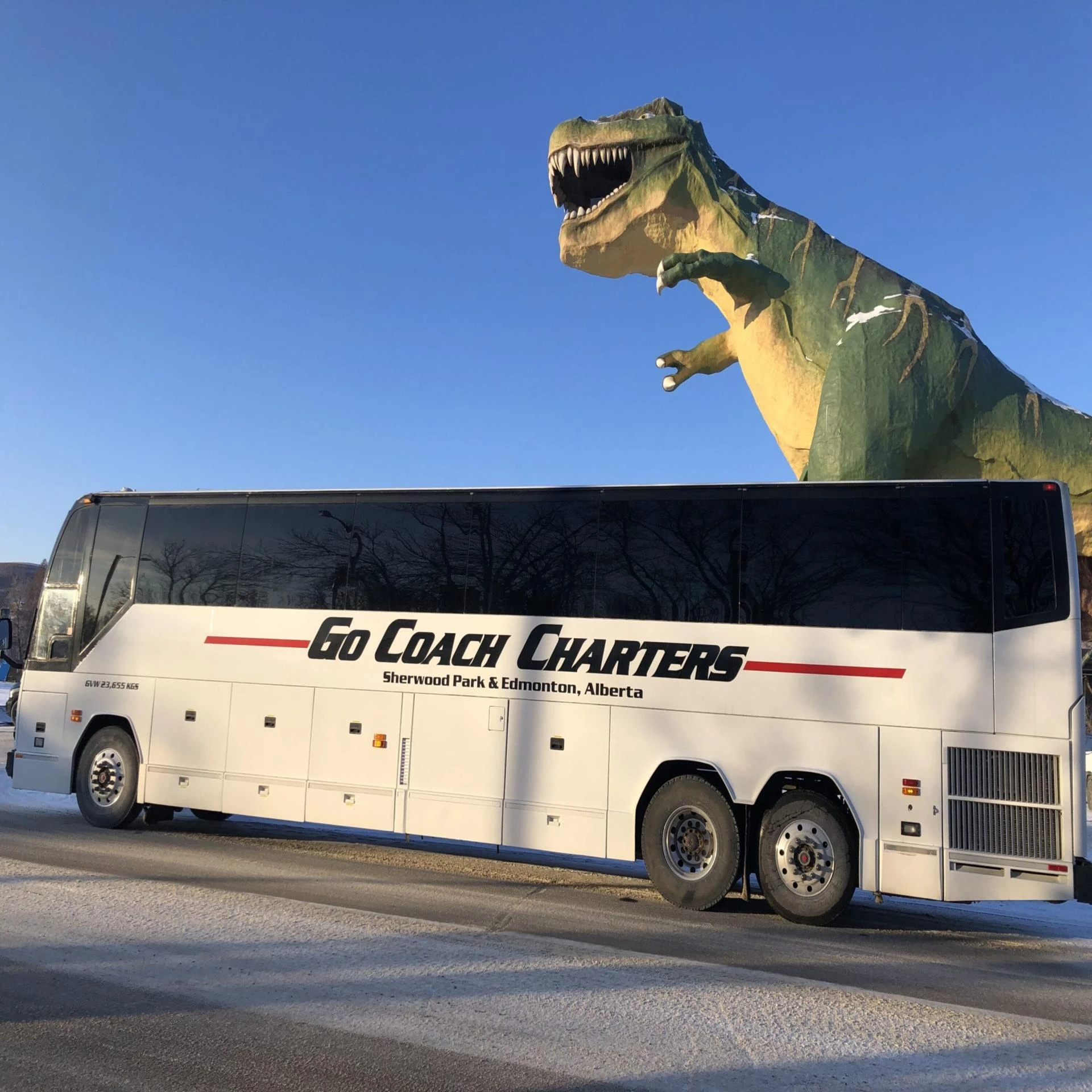 Where Can You Discover Hidden Gems Around Edmonton on a Charter Bus Tour?