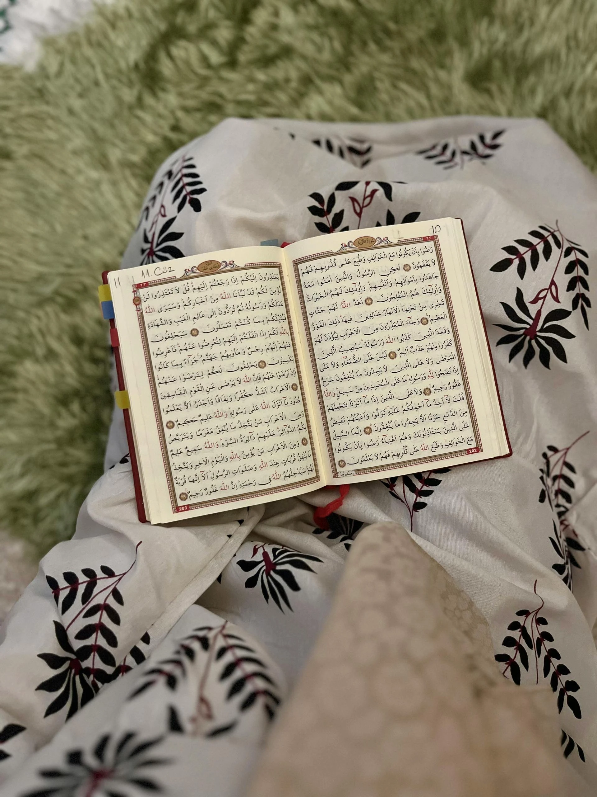 Your Trusted Gateway to the Best Online Quran Academy Experience