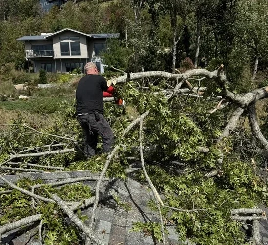 Looking for Trustworthy Residential Excavation Contractors? Here's What You Should Know!