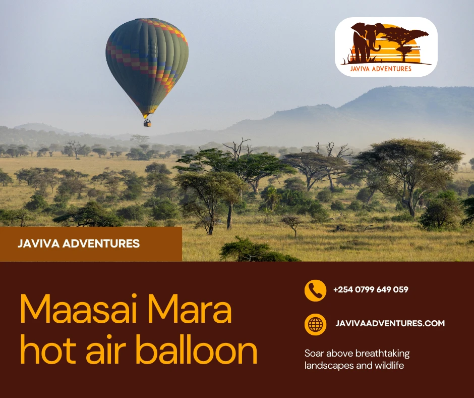 Unforgettable African Safari Experiences and Beach Escapes – From Kenya to Uganda and Tanzania