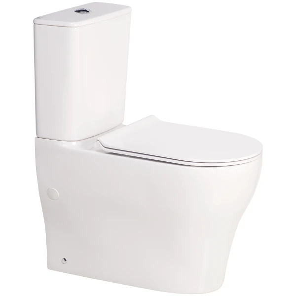American Toilets: A Guide to Modern Functionality and Global Trends